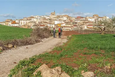 Camino de Santiago