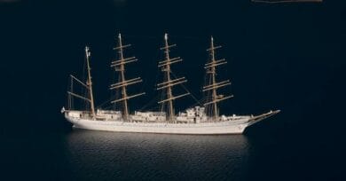 artikel_2900_afbeelding (1)