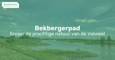 bekbergerpad thumb