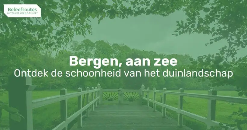 bergen aan zee thumb