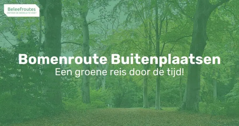 bomenroute s gravelandse buitenplaatsen thumb 2