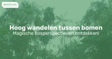 boomkroonpad wandelen langs boomtoppen thumb 2
