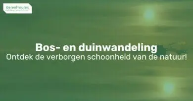 bos en duinwandeling thumb