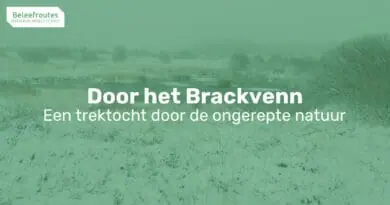 door het brackvenn thumb