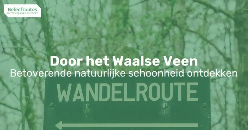 door het waalse veen thumb