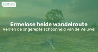 ermelose heide wandelroute thumb