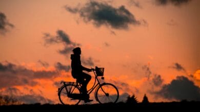 fietsjas