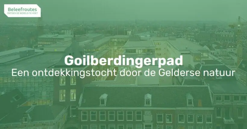 goilberdingerpad thumb