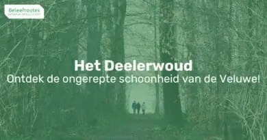 het deelerwoud thumb