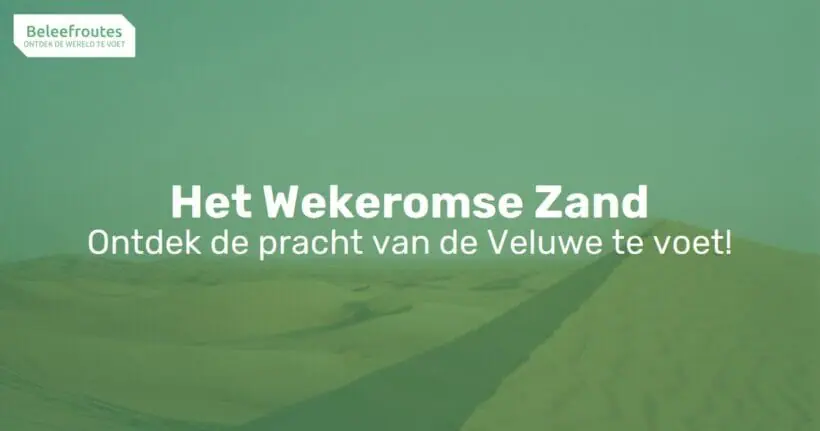 het wekeromse zand thumb