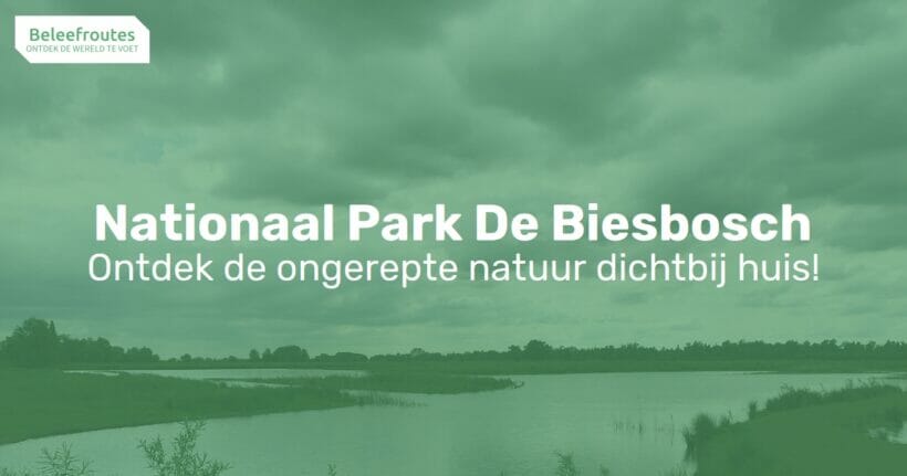 nationaal park de biesbosch thumb