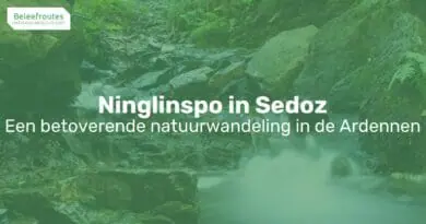 ninglinspo in sedoz thumb