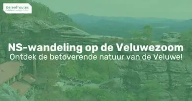 ns wandeling op de veluwezoom thumb
