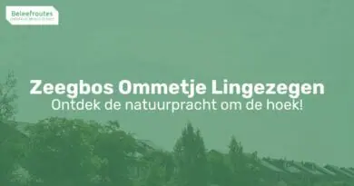 ommetje zeegbos in park lingezegen thumb