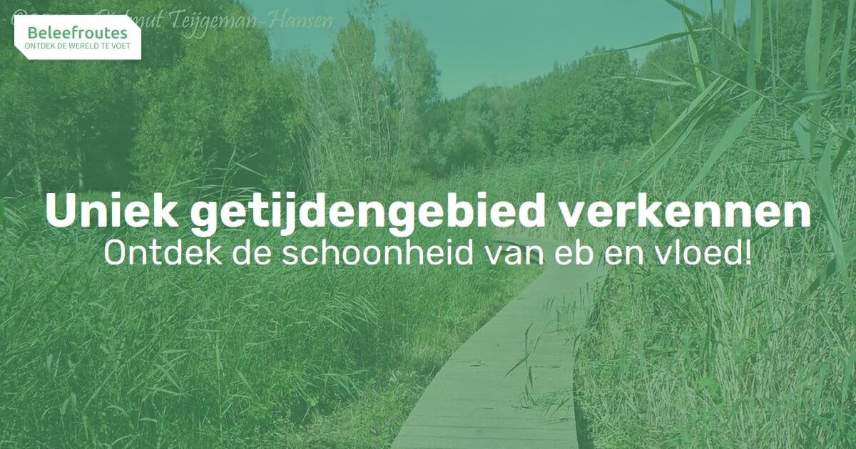 Op pad in een uniek getijdengebied