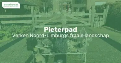 pieterpad etappe 20 van vierlingsbeek naar swolgen thumb 1