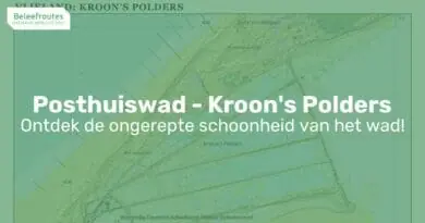 posthuiswad kroon s polders thumb