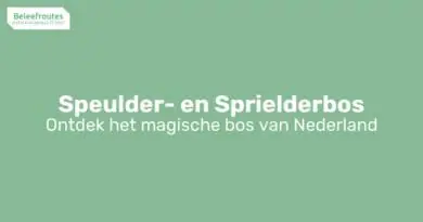 speulder en sprielderbos thumb
