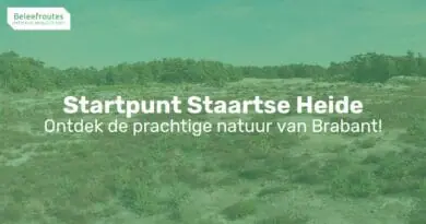 startpunt staartse heide thumb