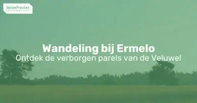wandeling bij ermelo thumb