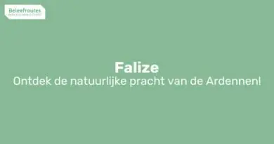 wandeling in malmedy langs rocher de falize thumb