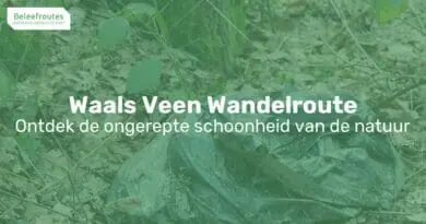 wandelroute door het waalse veen uitbreiding thumb