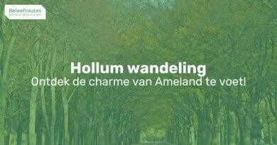 wandelroute hollumerbos westerstrand thumb 1
