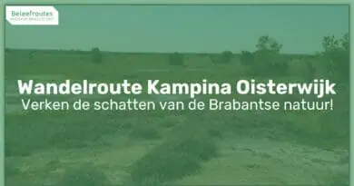 wandelroute kampina oisterwijk thumb
