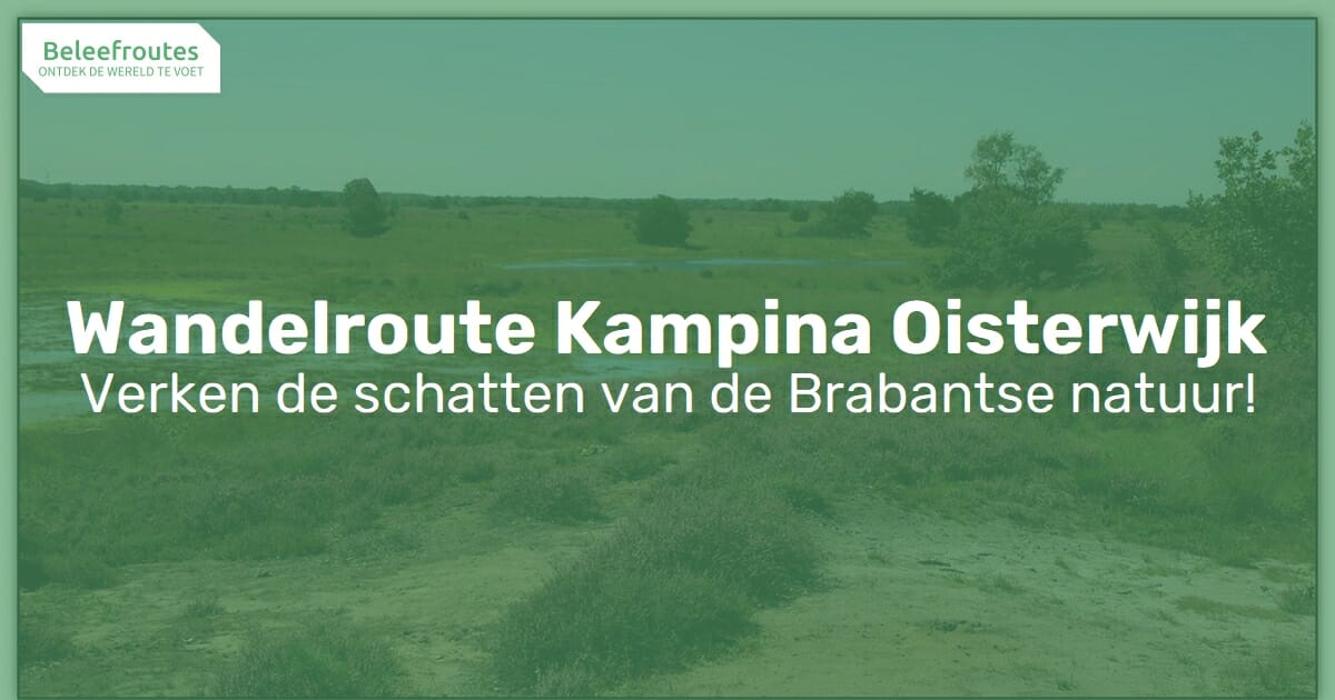 Wandelroute Kampina Oisterwijk Beleefroutes