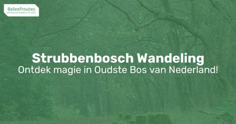 wandelroute strubben kniphorstbosch thumb