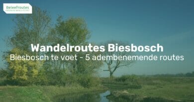 De Biesbosch Wandelroutes