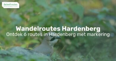 wandelroutes hardenberg thumb