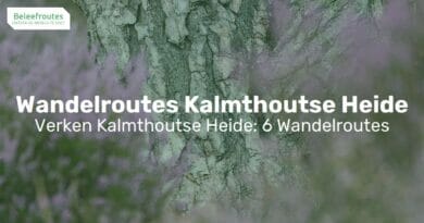 wandelroutes kalmthoutse heide thumb