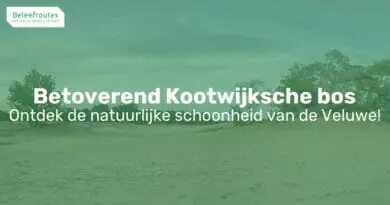 wonderlijke vergezichten in boswachterij kootwijk thumb
